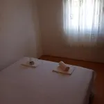 Milinkovic Apartment *